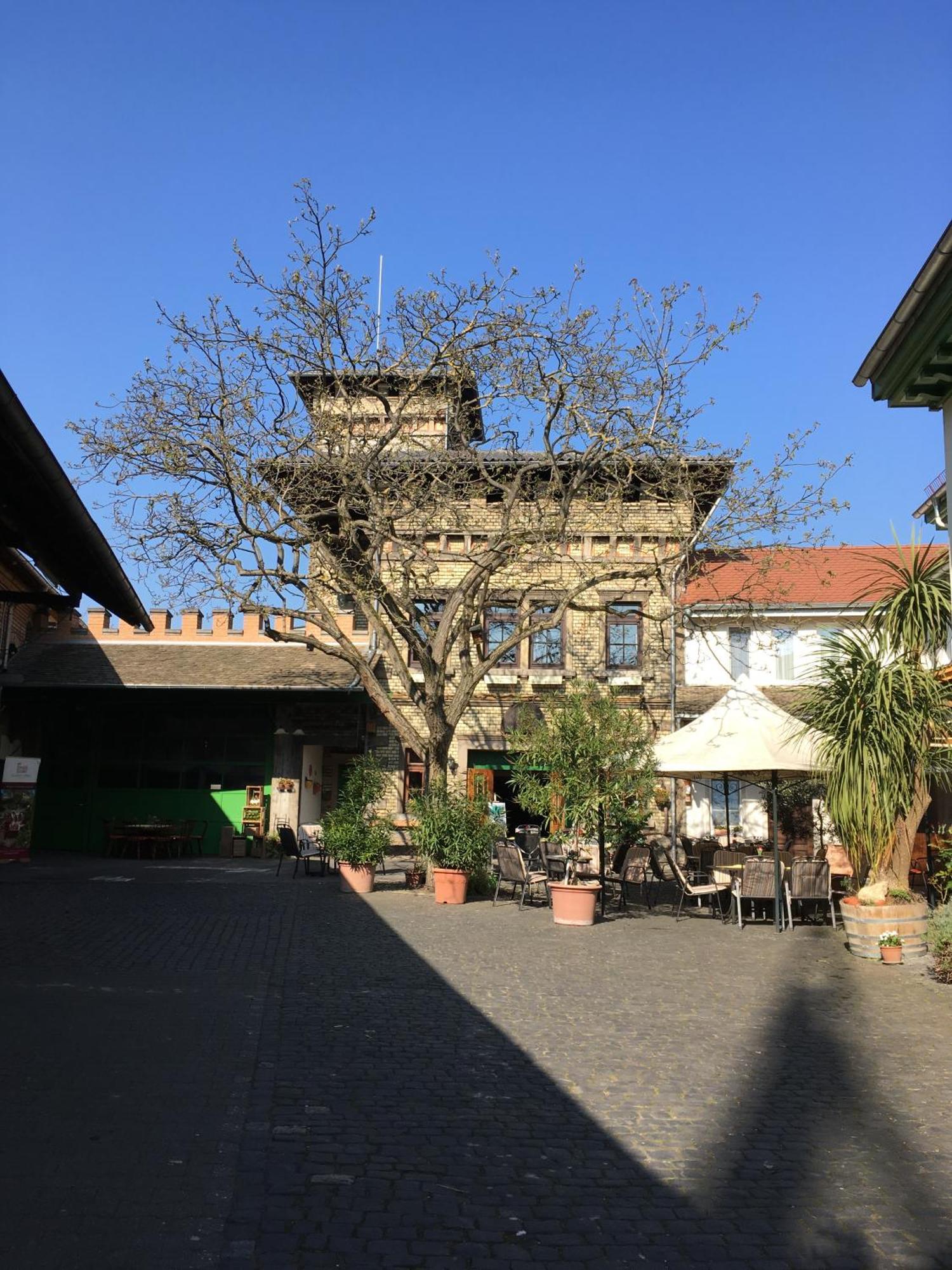Gaestehaus Guntersblum Exterior foto